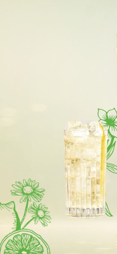 BELSAZAR DRY & TONIC